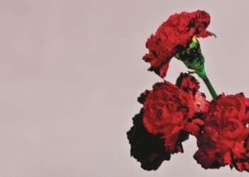 John Legend Love in the Future