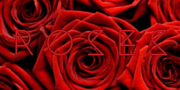 Dawn Richard's Roses single cover featuring a bunch of roses.