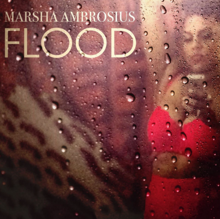 Marsha Ambrosius "Flood" single cover