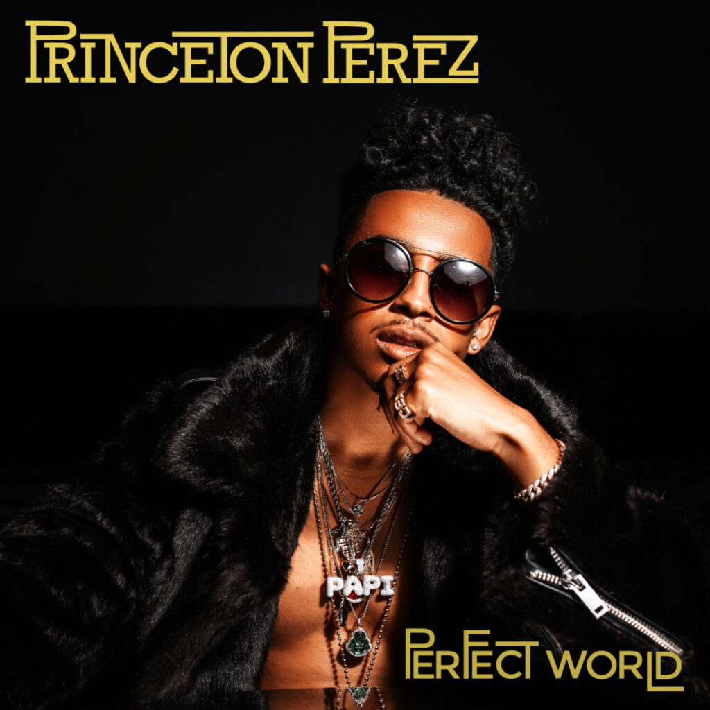 Princeton Perez Perfect World single cover