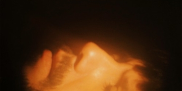 SoMo I Had Another Dream Album