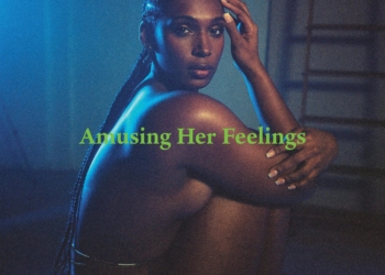 Dvsn Amusing Her Feelings album cover