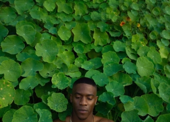 Sunni Colon Juju and the Flowerbug
