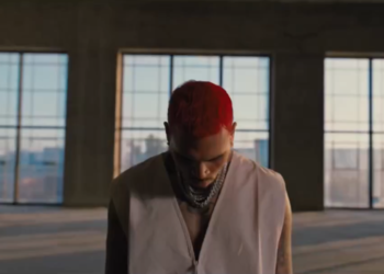 Chris Brown Under the Influence