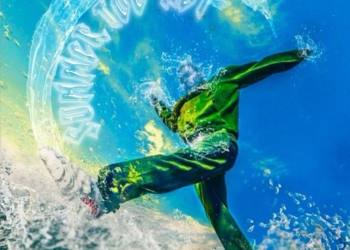 Chris Brown Summer Too Hot single cover