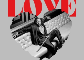 Raheem DeVaughn The Summer of Love