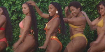 Janelle Monae Water Slide