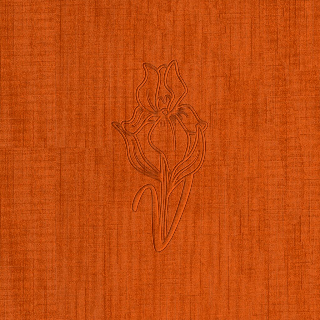 J. Valentine and Chris Brown's "UnLonely" single cover.