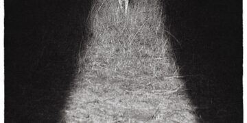 R&B singer Zarcari's Bliss album cover, which features a black and white photograph showing a wolf, standing at the end of a narrow trail illuminated by a spotlight at night, surrounded by dark, textured grass.