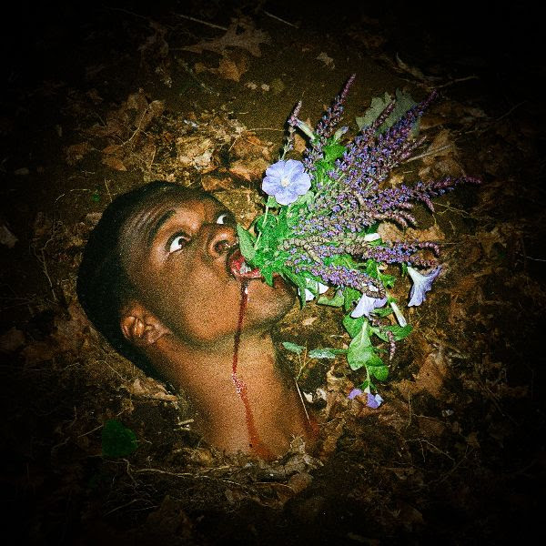 Black Hibiscus' Growing Pains album cover
