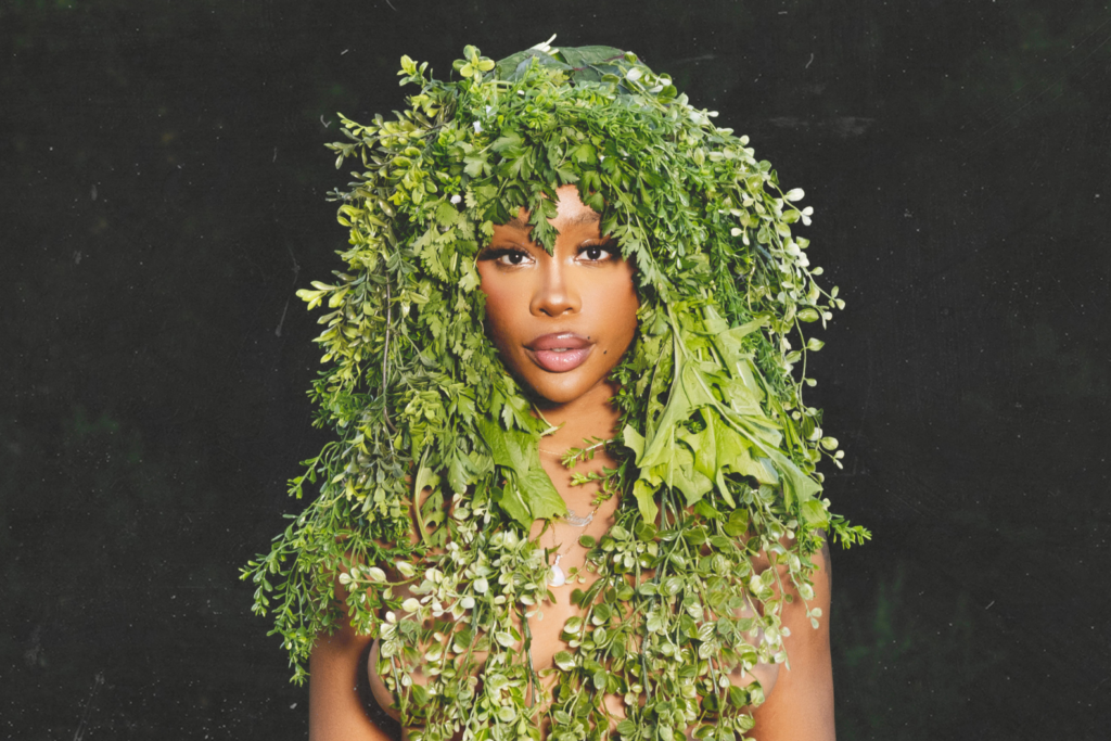 An image of SZA wearing green leaves on her head