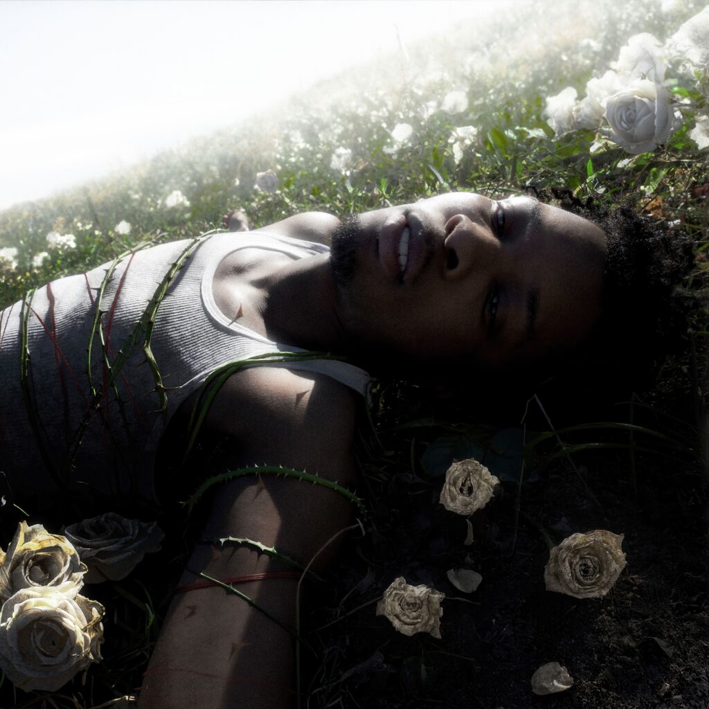 d4vd's "Withered" album cover