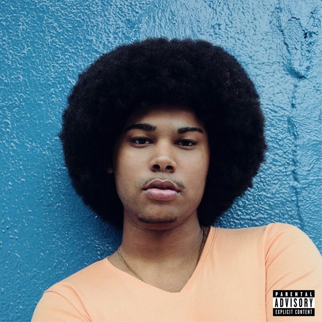 Sekou's Never Gunna Give You Up single cover