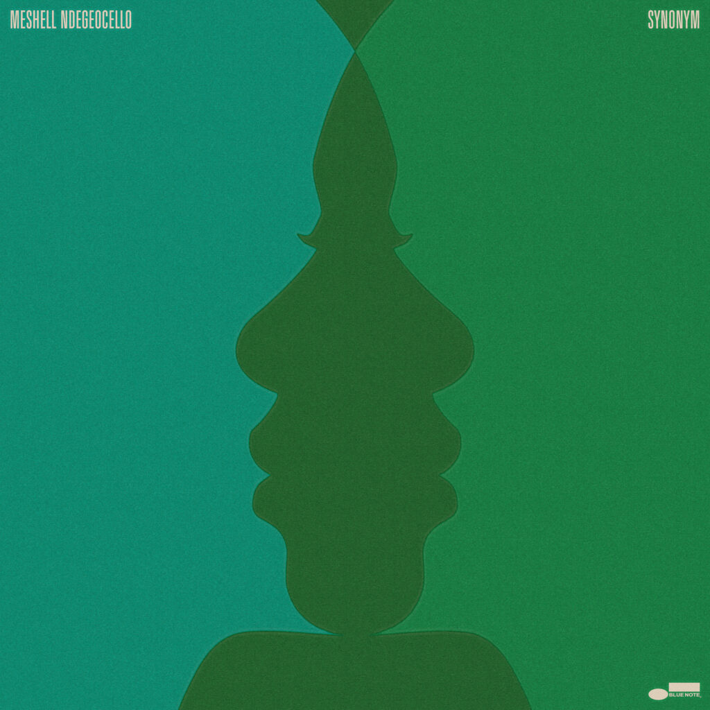 Meshell Ndegeocello's Synonym album cover